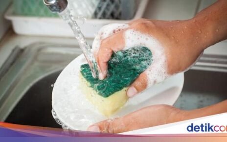 Hiii! Spons Cuci Piring Lebih Kotor dari Toilet, Perlu Rutin Diganti