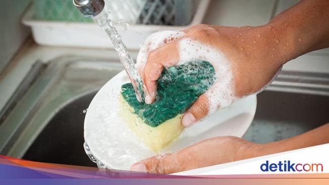 Hiii! Spons Cuci Piring Lebih Kotor dari Toilet, Perlu Rutin Diganti