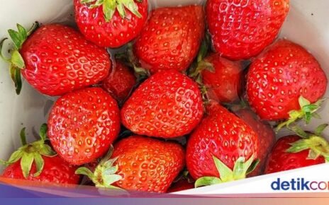 4 Fakta Stroberi Korea yang Terkenal Manis dan Juicy