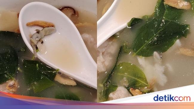 Temukan Kadal Mati dalam Mie Pesanannya, Wanita Ini Tetap Harus Bayar