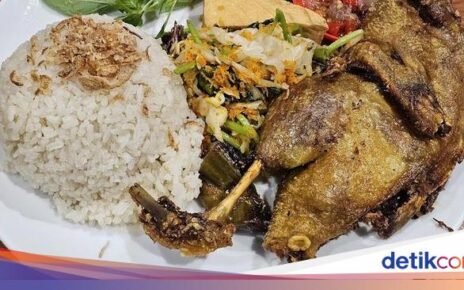 Uenaak Poll! 5 Tempat Makan Nasi Megono dan Bebek Goreng Surabaya