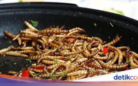Ulat yang Kaya Protein Bakal Disajikan di Restoran Mewah