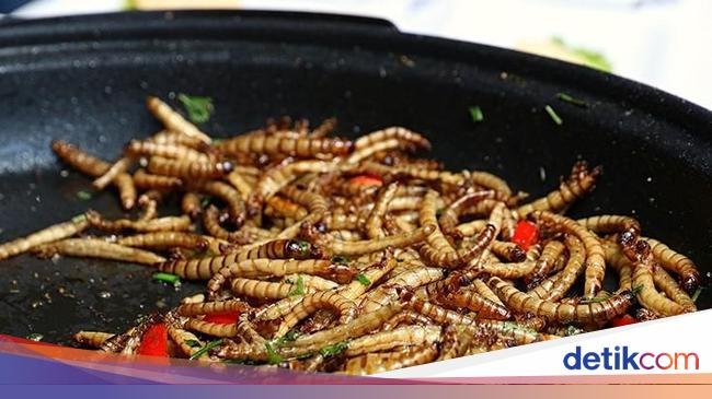 Ulat yang Kaya Protein Bakal Disajikan di Restoran Mewah