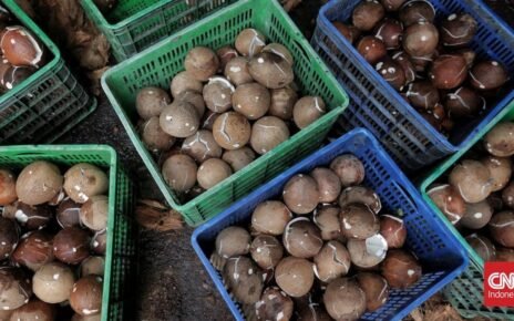 Mendag Usul Pungutan Ekspor Kelapa Bulat Atasi Lonjakan Harga