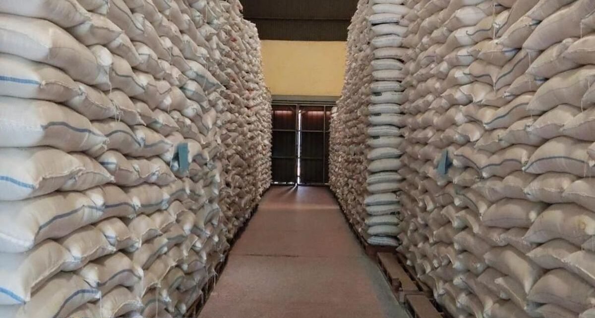 Cara Bulog Menjaga Kualitas Beras di Tengah Serapan yang Membludak