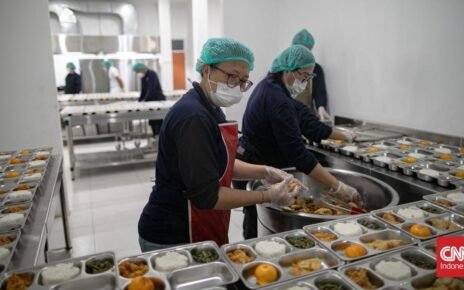 DPR Kiritik Program MBG Pakai Wadah Makan Buatan China