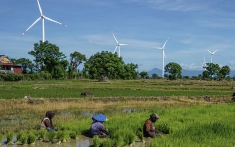 Sektor Mana Terbanyak Ciptakan Kerjaan Bagi 145,77 Juta Orang RI?