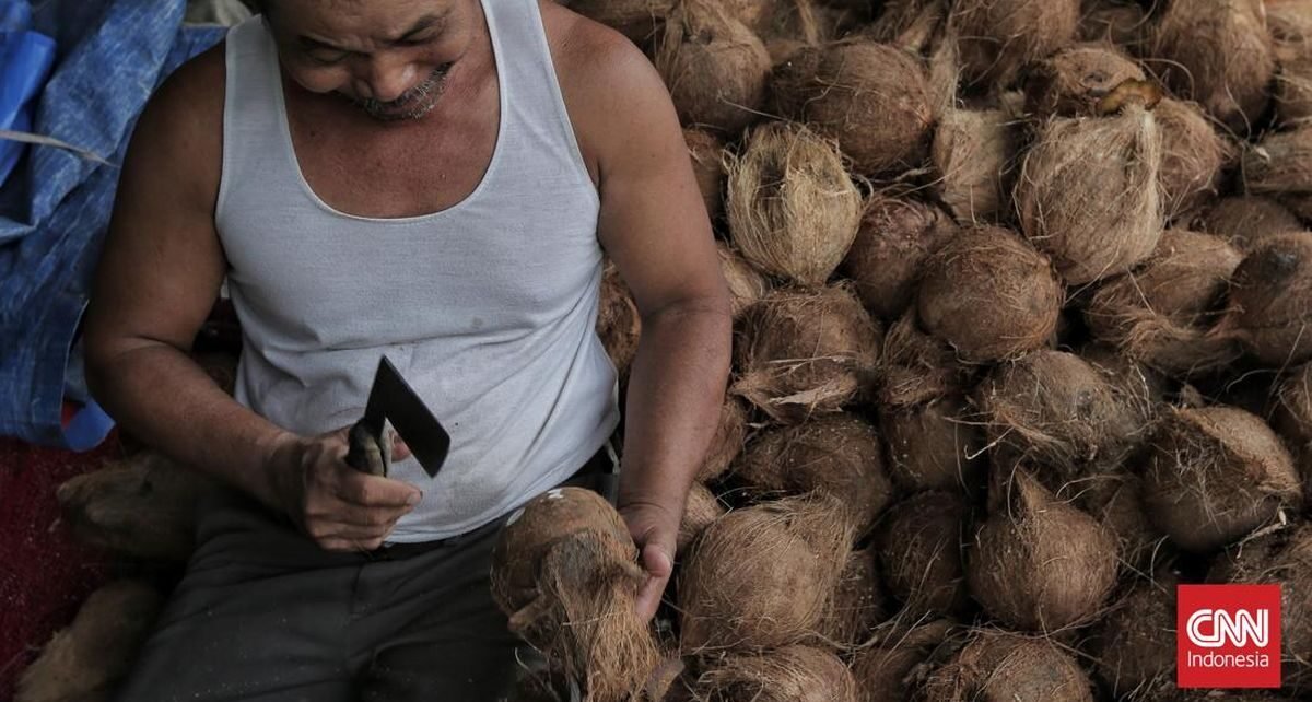 Amran Mau Genjot Ekspor Kelapa 3 Kali Lipat Meski Harga Masih Mahal