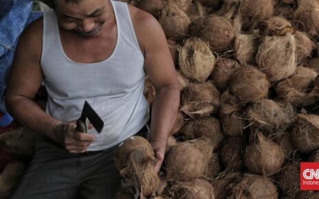 Amran Mau Genjot Ekspor Kelapa 3 Kali Lipat Meski Harga Masih Mahal
