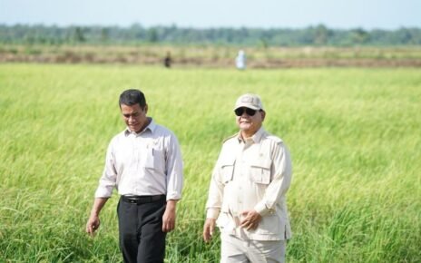 Cadangan Beras Bulog Capai 4 Juta Ton, Mentan Terima Kasih ke Petani