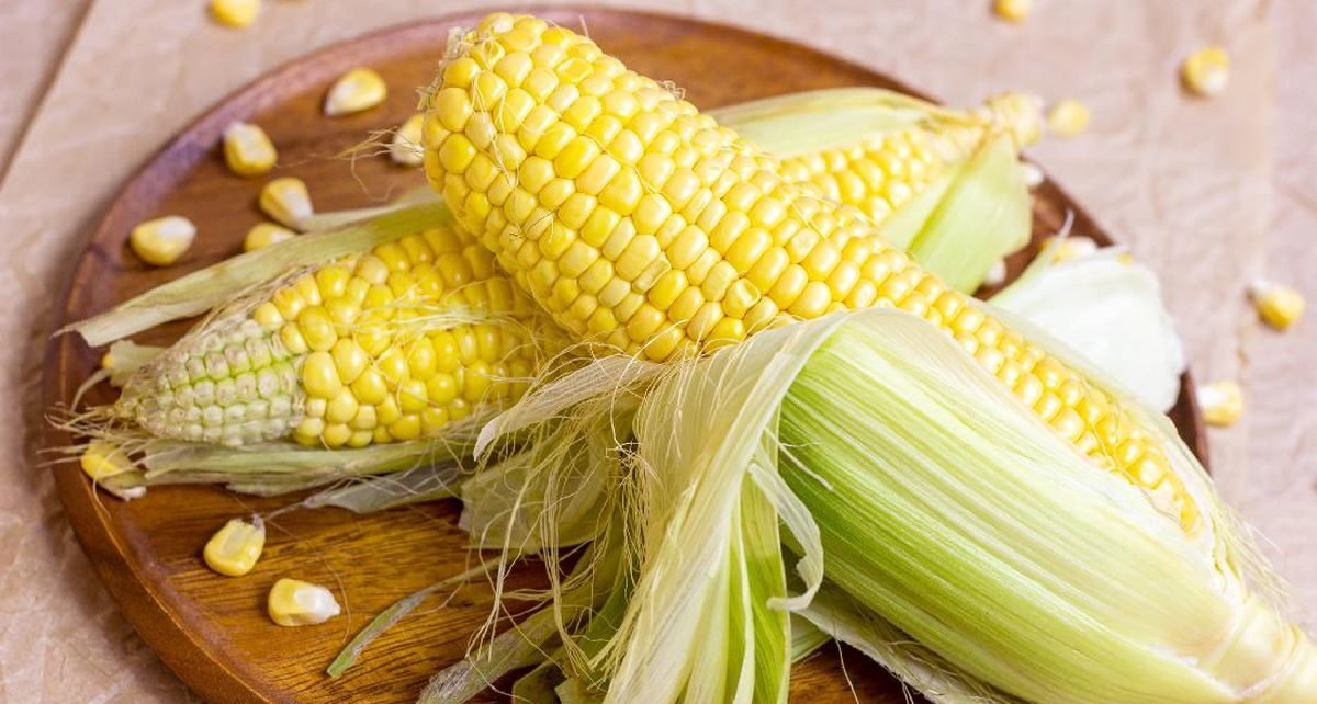 Pemerintah Gelontorkan Rp40 M untuk Riset Jagung hingga Bawang Putih