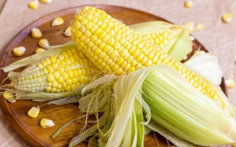 Pemerintah Gelontorkan Rp40 M untuk Riset Jagung hingga Bawang Putih