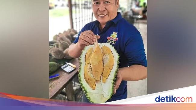 Tupai King Dinobatkan Sebagai Durian Premium Kalahkan Black Thorn