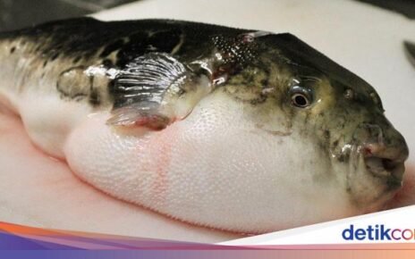 10 Hidangan Tersulit Dimasak di Dunia, Butuh Keahlian Tinggi!