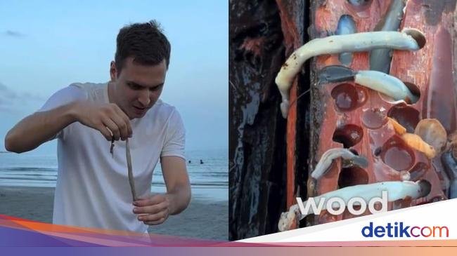 Ini Reaksi Orang Jerman Makan Tembiluk Pertama Kali