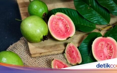 Bikin Sehat! 5 Khasiat Seduhan Daun Jambu Merah