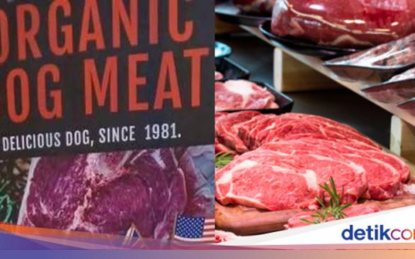 Kios Ini Dikecam Karena Jual Daging Anjing, Ternyata karena Alasan Ini