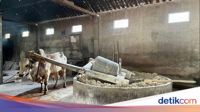 Proses Pembuatan Mie Lethek Pakai Tenaga Sapi Viral di Medsos