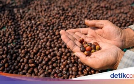 5 Biji Kopi Asal Sumatera dengan Karakternya yang Unik