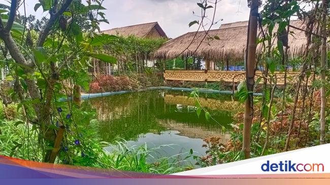 Ngariung Yuk! 10 Tempat Makan di Tangerang yang Punya Saung Asri