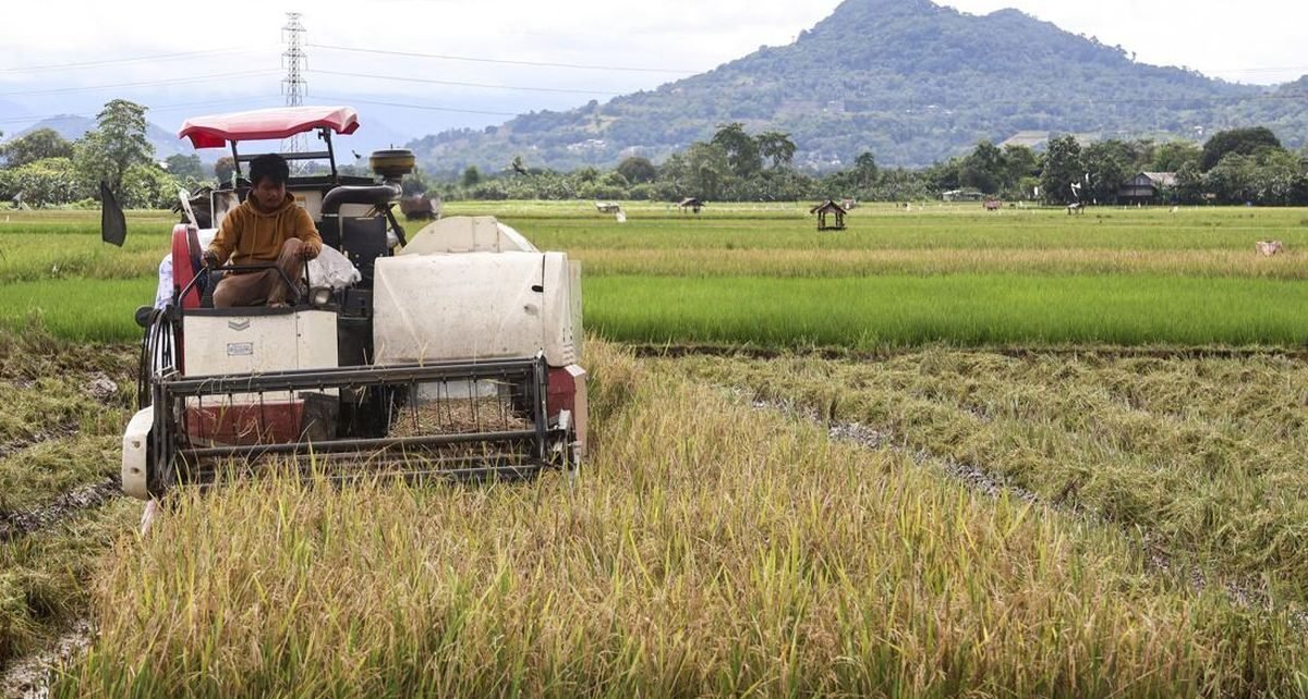Siasat Prabowo Salurkan Bansos Beras yang Tak Rugikan Petani