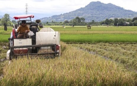 Siasat Prabowo Salurkan Bansos Beras yang Tak Rugikan Petani