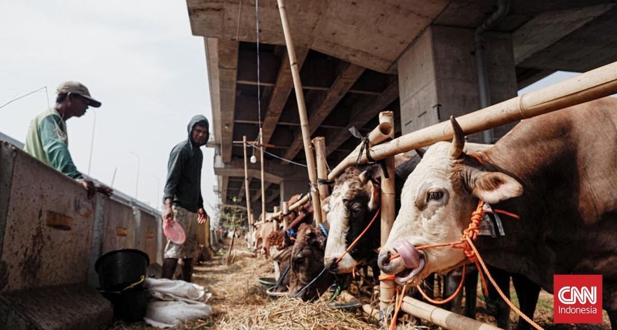Kemendag Ragukan Klaim Penjualan Hewan Kurban Tahun Ini Turun