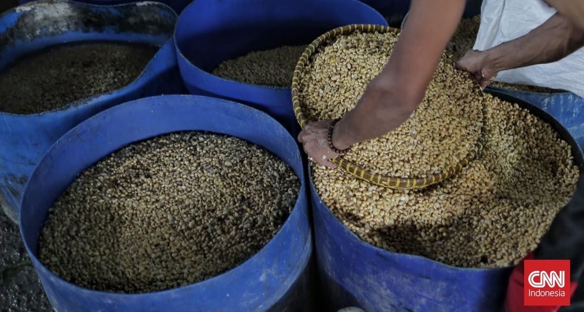 RI Siapkan Produksi Kedelai Lokal hingga 10 Ribu Ton