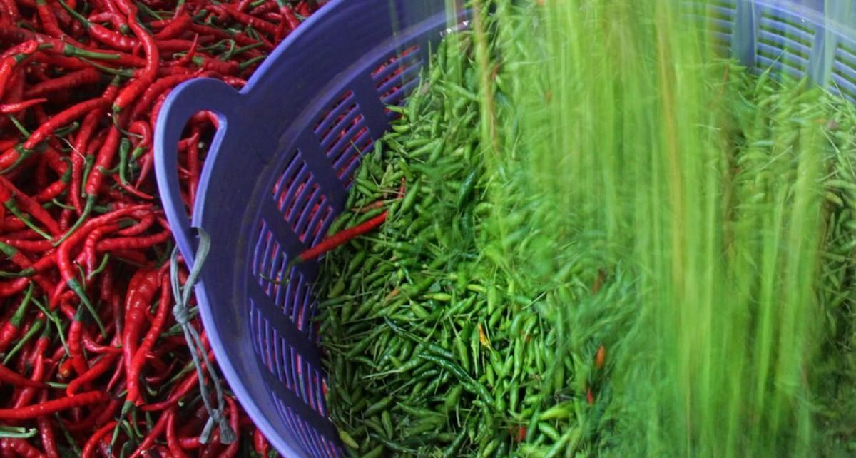 Duh, Pedas! Harga Cabai Ngegas Nyaris 19 Persen Sambut Iduladha