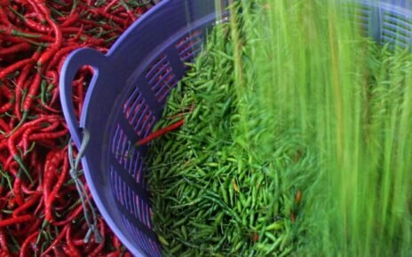 Duh, Pedas! Harga Cabai Ngegas Nyaris 19 Persen Sambut Iduladha