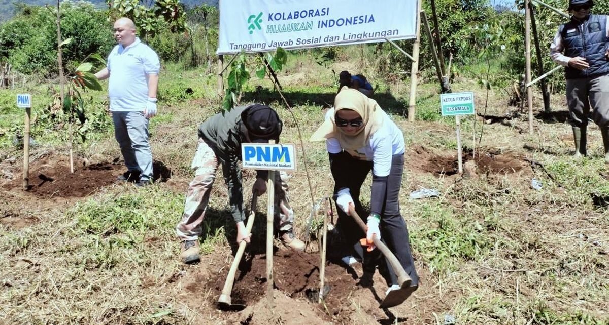 PNM Hijaukan Indonesia Lewat Pelestarian Hutan dan Terumbu Karang