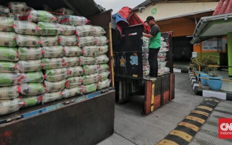 Satgas Bongkar Sabotase Data Ribuan Ton Beras, Ada 6 Temuan Kritis
