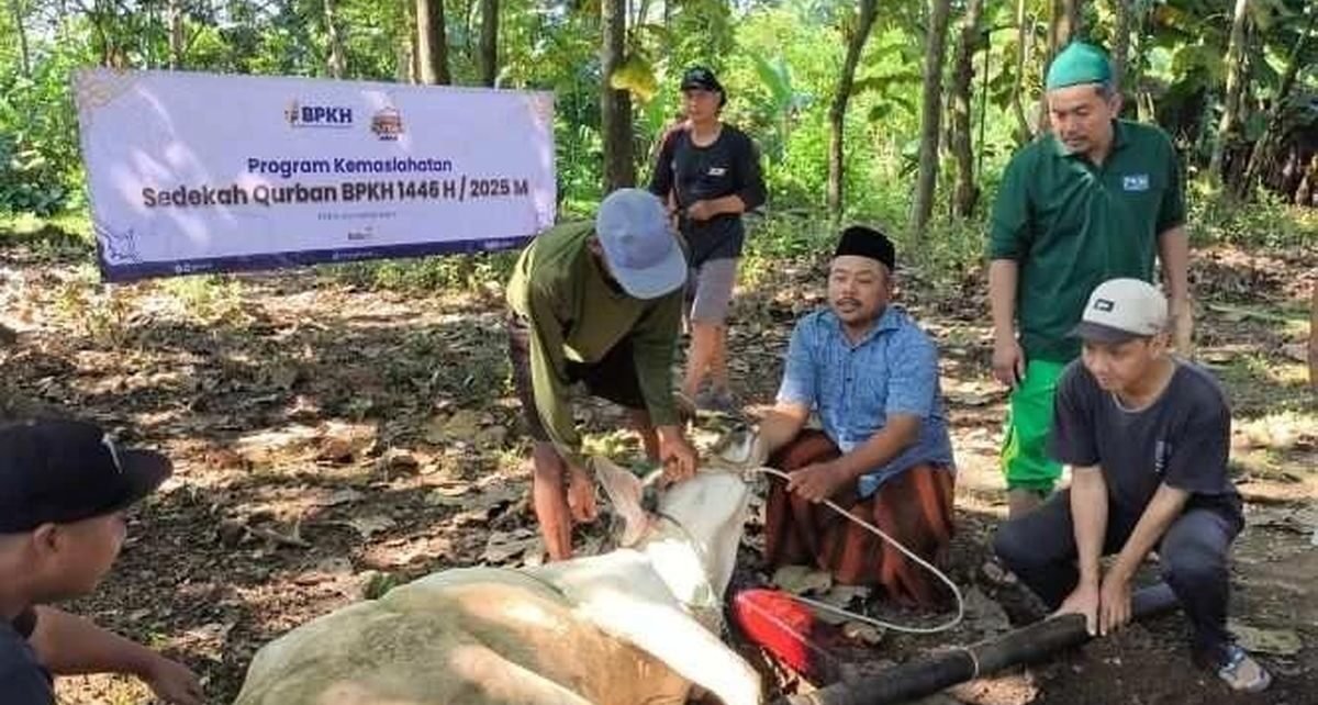 Ratusan Kurban BPKH Jangkau Pelosok Negeri