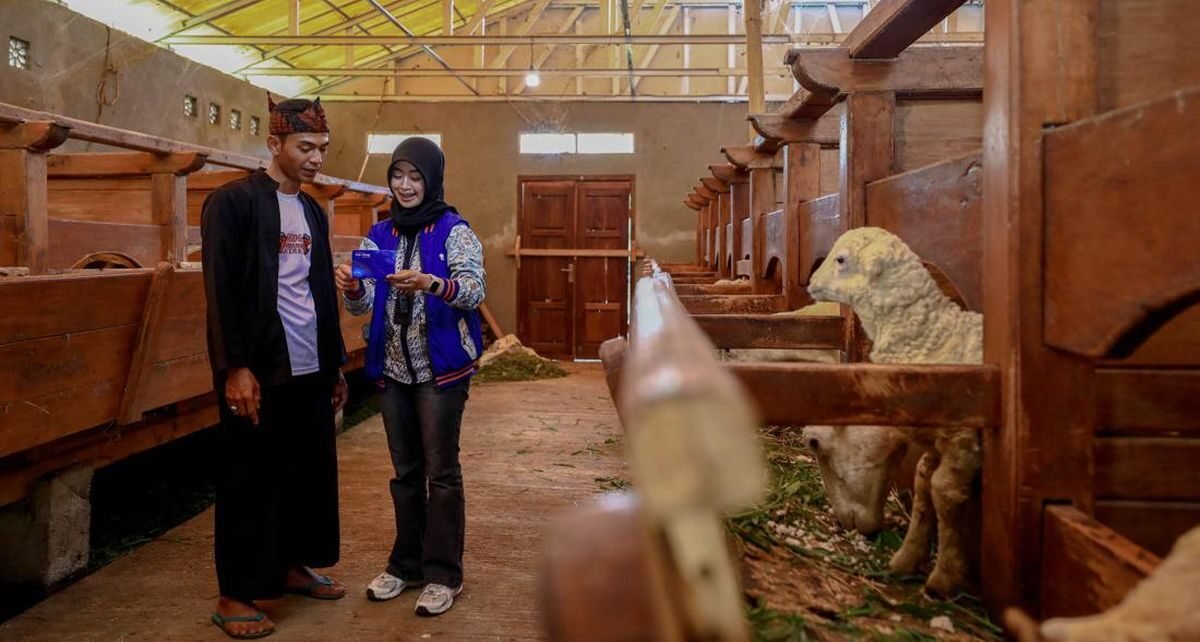 Idul Adha, BRI Peduli Dukung Peternak Domba di Desa Sukalaksana Garut