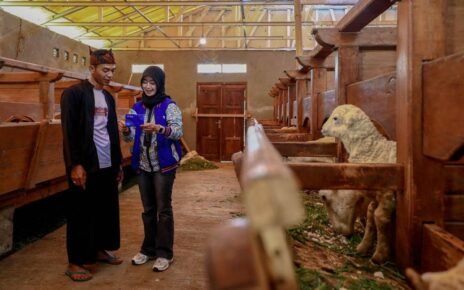 Idul Adha, BRI Peduli Dukung Peternak Domba di Desa Sukalaksana Garut
