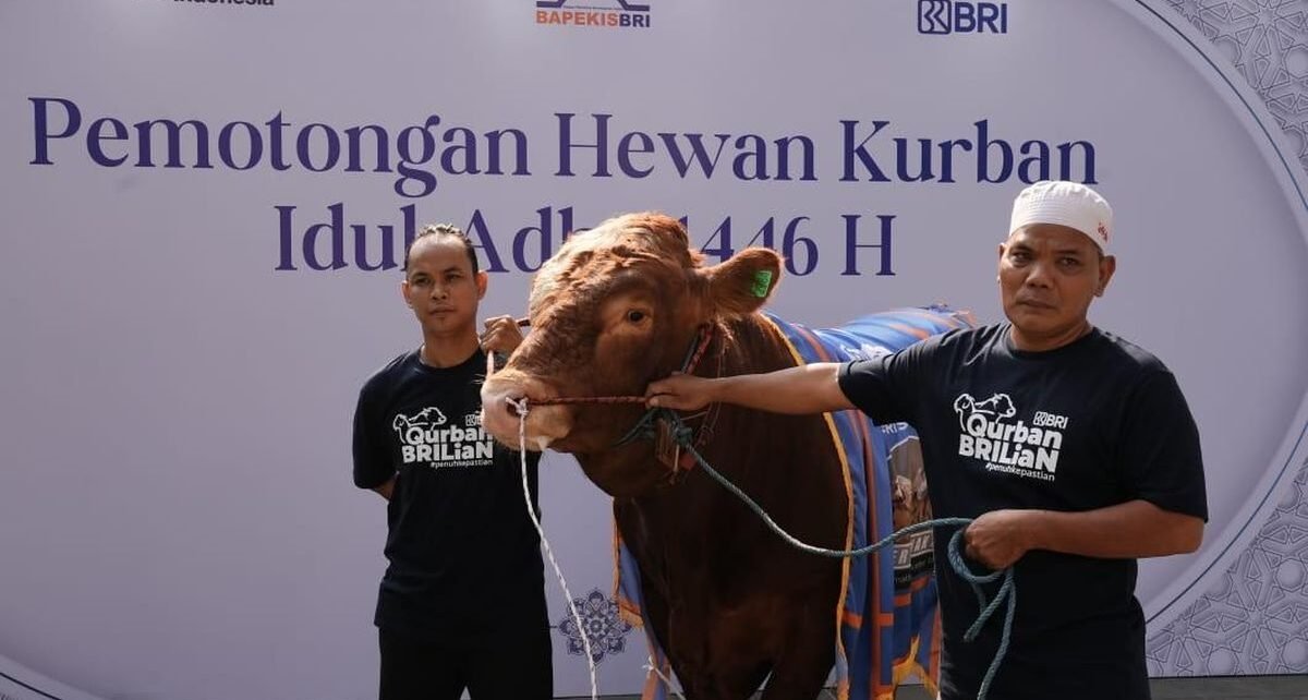 Bapekis dan Insan BRILian Salurkan 961 Hewan Kurban di Idul Adha 2025