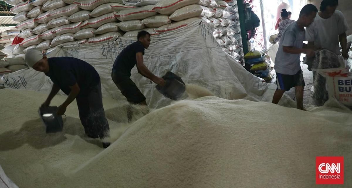 Indonesia Kirim Bantuan 10 Ton Beras ke Palestina Akhir Bulan Ini