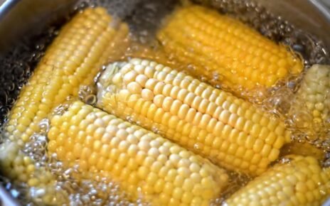 Pemerintah Siapkan Rp6 T Buat Serap 1 Juta Ton Jagung dari Petani