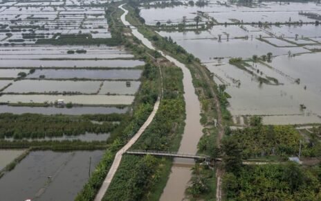 Kementerian PU Keluarkan 5 Jurus Wujudkan Swasembada Pangan Prabowo