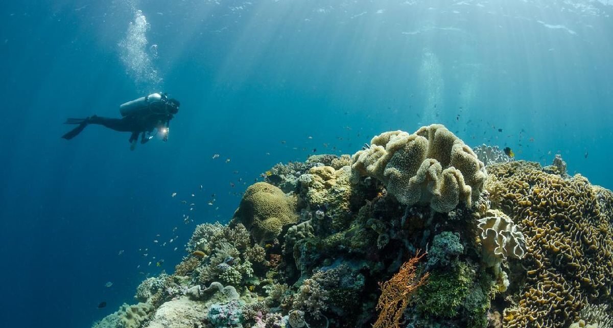 Hidden Gem untuk Tenangkan Diri dan 'Healing'