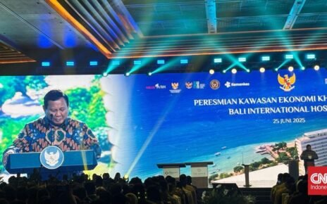 Prabowo Resmikan KEK Sanur dan Bali International Hospital