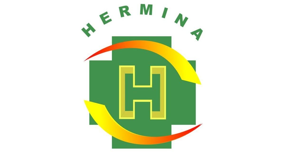 Group Djarum Borong Saham RS Hermina Rp1 Triliun