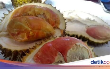 Jagonya Penghasil Durian! Ini 8 Durian Unggulan Jawa Timur