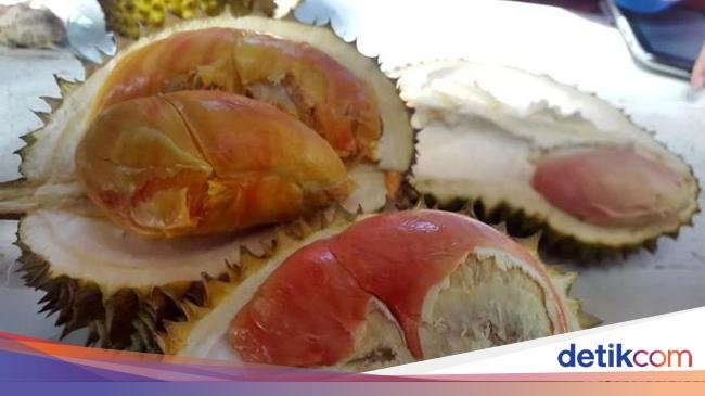 Jagonya Penghasil Durian! Ini 8 Durian Unggulan Jawa Timur