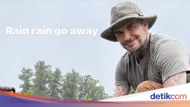 Hobi Berkebun, David Beckham Puas Panen Wortel hingga Lobak