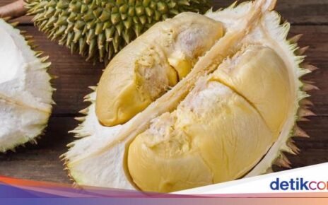Ternyata Begini Efek Konsumsi Durian untuk Kesehatan Hati