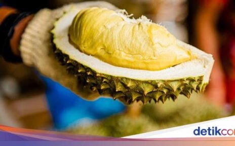 Wah! Tur Makan Durian Sepuasnya di Hotel Jadi Incaran Tamu