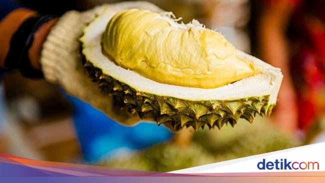 Wah! Tur Makan Durian Sepuasnya di Hotel Jadi Incaran Tamu