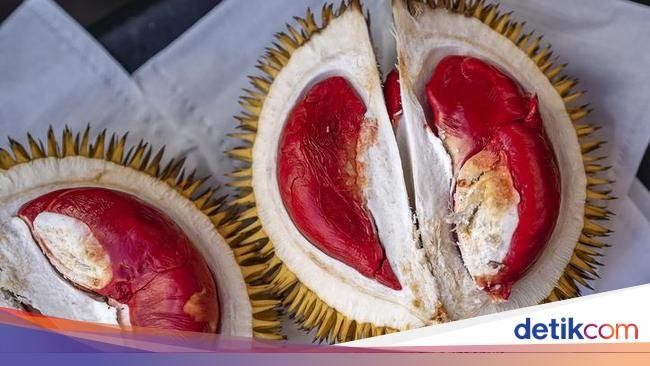 5 Fakta Durian Udang Merah Khas Malaysia yang Dagingnya Lembut