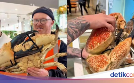 Food Blogger Disorot Usai Makan Kepiting Langka Rp 20 Juta